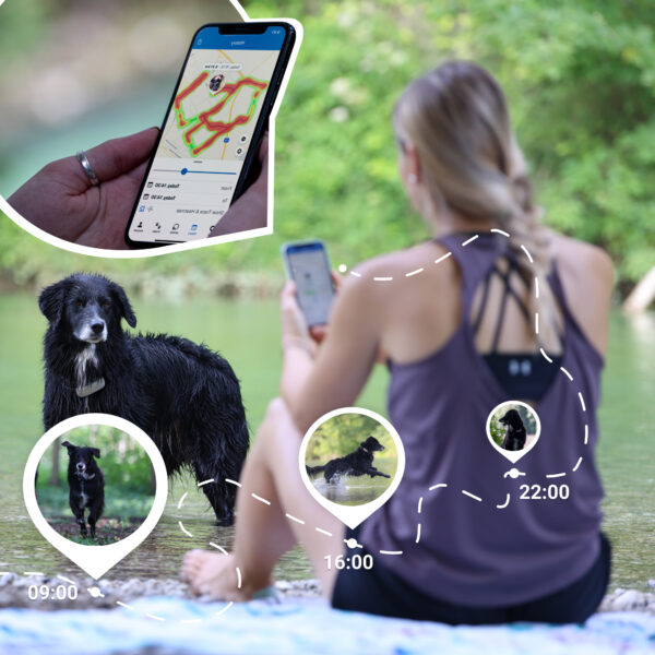 Tractive GPS DOG 4 - Localizador e monitor de atividade para cães - Le Clep's